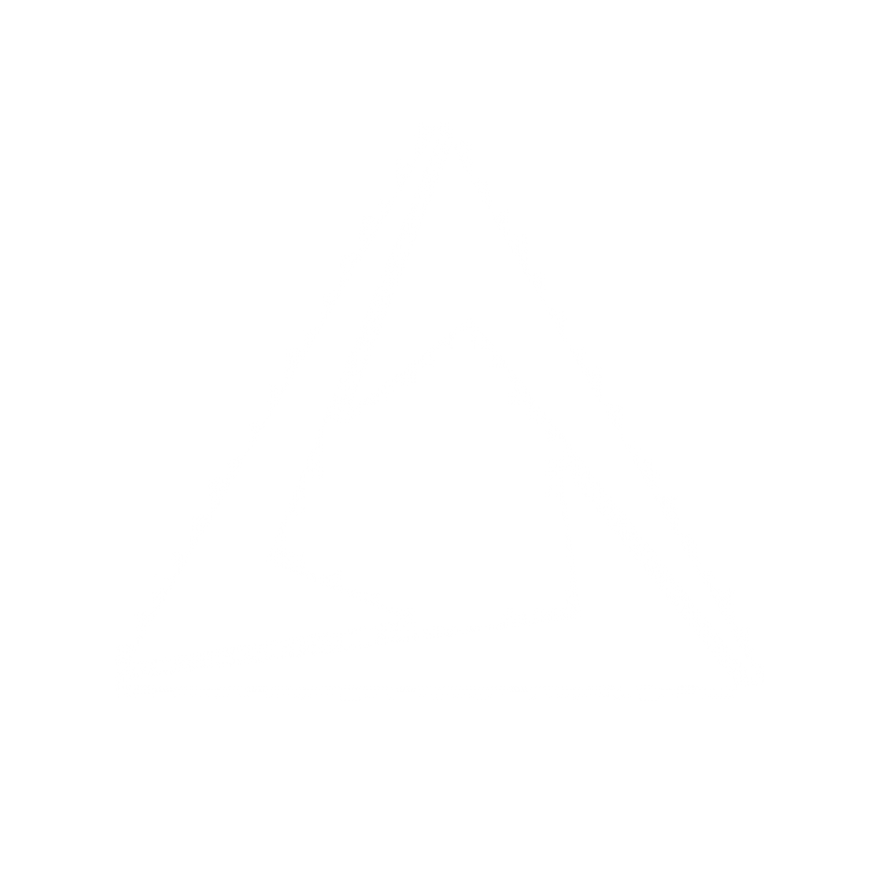 DigitalShield Logo